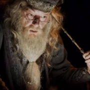 华纳正版周边，Harry Potter 哈利波特 接骨木老魔杖  Prime会员免费直邮含税