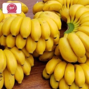 保丰岭 广西特色小米蕉 5斤*2件