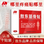 敖东 医用冷敷贴筋骨贴10片