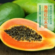 莜秀 海南红心木瓜 10斤