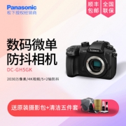 松下（Panasonic） Lumix DC-GH5 M4/3无反相机  券后9358元
