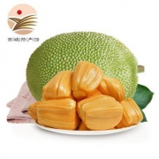 越南进口红肉菠萝蜜 1个装 6-8斤