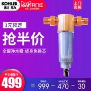 1日0点：欧美家庭必装！KOHLER 科勒 96024T-PF120-Q73 中央前置过滤器
