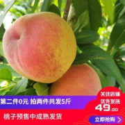 拍两件 5斤装！特级水蜜桃新鲜水果 券后￥19.8