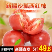 全球番茄红素含量之冠 新疆火焰西红柿 5斤 肉厚多汁 44.8元包邮