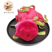 蒲江馆 红心火龙果 6个装 单果300-400g