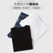 VANCL凡客诚品1093605男士短袖T恤*5件