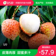 淘乡甜 海口火山荔枝 妃子笑 5斤 57.9元包邮