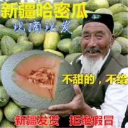 全中国最好吃的哈密瓜 新疆火焰山西州蜜25号 2个共重约7斤 64.8元包邮 新疆直发