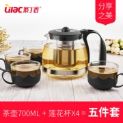 Lilac 紫丁香 茶壶茶杯五件套 700ml19元包邮（需用券）