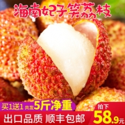 鲜台 海南妃子笑新鲜荔枝 5斤净重  券后48.9元