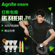 28日0点：Agnite 安格耐特 F2100 羽毛球拍套装 对拍 赠3球+拍包 16元包邮（需用券）