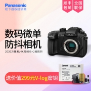 松下（Panasonic） Lumix DC-GH5 M4/3无反相机  券后9358元