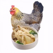 黄河畔散养老母鸡净重约1.1kg/只*2件+送料包*2个+鸡排1份