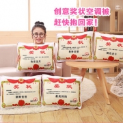 聆语寻 奖状抱枕 30*35cm *2件 28.5元包邮（合14.25元/件）