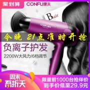 21点开始：Kangfu 康夫 KF-3098 吹风机（2200W）29.9元包邮，前1000台立减