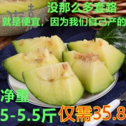 日本静冈网纹瓜 5-5.5斤 不甜可退钱 35.8元