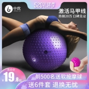 中欧 健身瑜伽球 55cm 送配件 16.9元包邮（需用券）