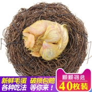 富润世 鲜毛蛋*40枚 31.8元包邮