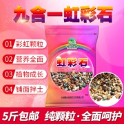 多肉全颗粒土虹彩石5斤 券后￥3.9