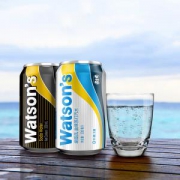 Watsons 屈臣氏 调酒系列 苏打水（原味20罐+盐味4罐） *2件
