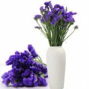 美猫 紫色勿忘我 干花花束 不含花瓶 2件装