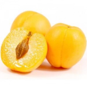 美荻斯陕西金太阳大黄杏500g*5件