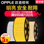 OPPLE 欧普照明 led灯带 2款可选 1米  5.9元包邮