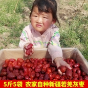 脆脆妙 若羌灰枣 500g 5.9元包邮（需用券）