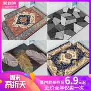 爱因斯毯 40*60入户门地垫 券后￥4.9