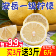 罗克珊 四川安岳柠檬 6斤  9.9元包邮