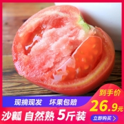 拍2件发5斤！现摘沙瓤自然熟西红柿番茄 券后￥18.8