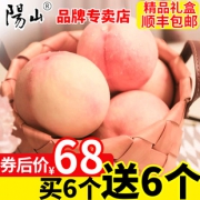 阳山 一级水蜜桃 12个装  6斤68元包邮（需用券）