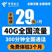 前三个月免费：中国电信 4G流量上网卡 每月20G全国流量