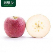 预售：御果乡 冰糖心苹果 2斤*5件