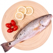 有券的上：仙泉湖 美国红鱼/斑点尾鲈 海鲈鱼 500g 29.9元，可低至13.92元