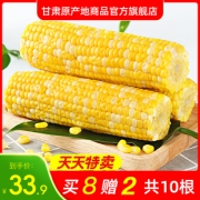 共发10根 新鲜甜非转基因熟玉米 券后￥23.9