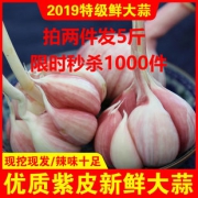 新鲜紫皮大头蒜 5斤 拍两件16.3元包邮