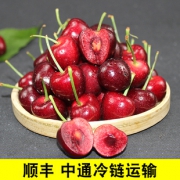 预售拍5件 现摘特级脆甜大樱桃5斤 券后￥68