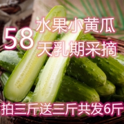 佑嘉木 水果小黄瓜/东北旱黄瓜 5斤 17.8元
