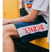 Dickies 字母印花短裤 DK006477 立减60，到手只需299