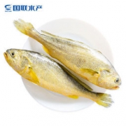 限地区： GUOLIAN 国联 三去黄花鱼 东海大黄鱼 1kg 2条*3件 207元包邮