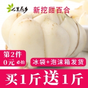 七里花乡 四川江油新鲜百合500g*2