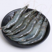 万龙洲 厄瓜多尔白虾 1.8kg