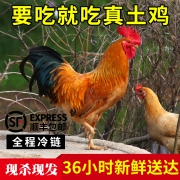 态谷食代 生态散养 襄阳土鸡 2只共2500g