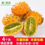 热带新鲜水果，山瓜瓜 火参果8个装 1600g  赠蜂蜜+吸管