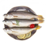 限地区：简单滋味冷冻阿根廷黄鱼500g3-5条