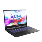 HASEE 神舟 战神 G7-CT7NK 17.3英寸游戏本（i7-9750H、16GB、256GB+1TB、GTX1660Ti、144Hz ） 7099元包邮（满减）