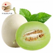 美荻斯玉菇甜瓜精品果净重2.3kg-2.5kg