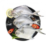 限地区：小船长冷冻东海银鲳鱼平鱼500g5-7条*10件